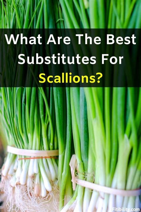 6 Best Scallions Alternatives That Are Flavorful, Easy to Find and Use - Fitibility