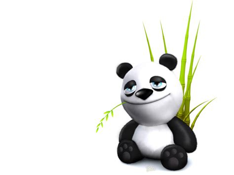 Funny cartoon panda wallpaper |Funny Animal