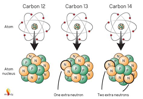 Carbon Isotopes Abundance