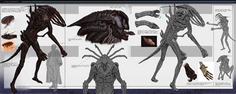 Arb Paninken - Alien Xenomorph: variant concept design