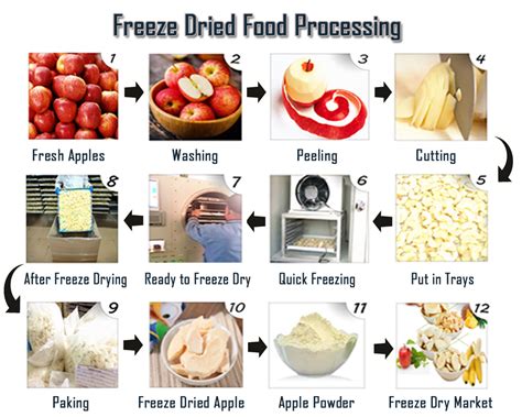 Working Principle of freeze drying