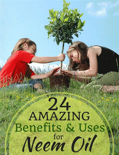 24 Amazing Benefits and Uses of Neem Oil for Plants