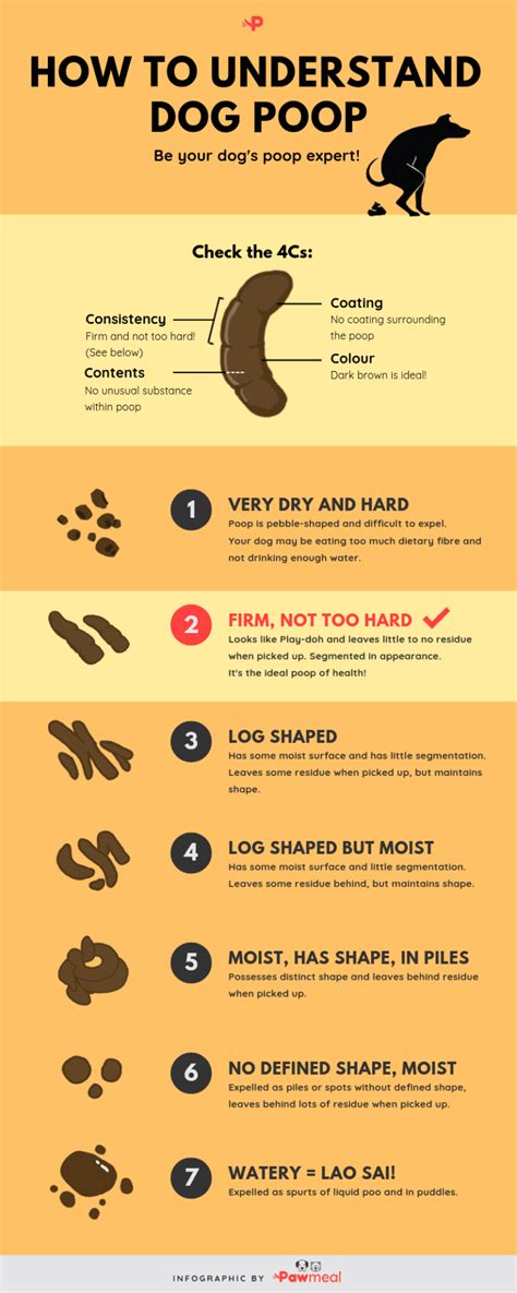 Dog Poop Color Chart - Coloring