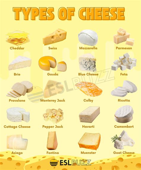 Types of Cheese: Amazing Cheese Types for Cheese Lovers - ESLBUZZ