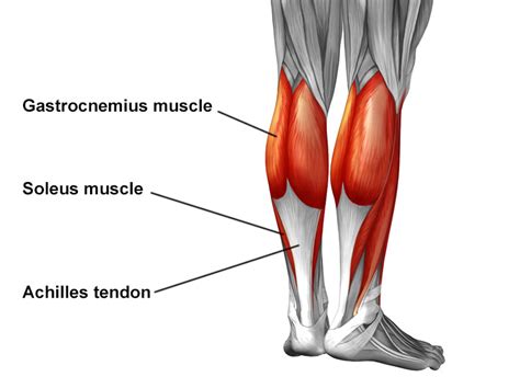 Achilles Tendon Pain: Causes, Diagnosis and Treatment | HSS