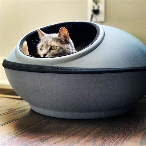 Indoor Heated Cat Beds — K&H Pet Products