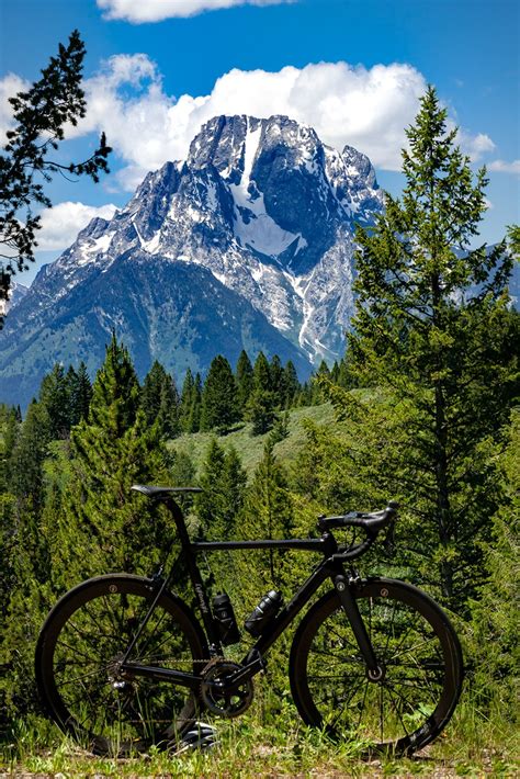 Best Road Bikes For Beginners 2020 – Buying Guide | Best road bike, Road bikes, Types of cycling