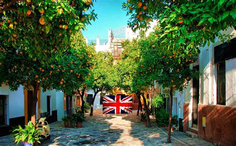 Sevillian orange trees in Seville, Why? | Bar Tapas Sevilla