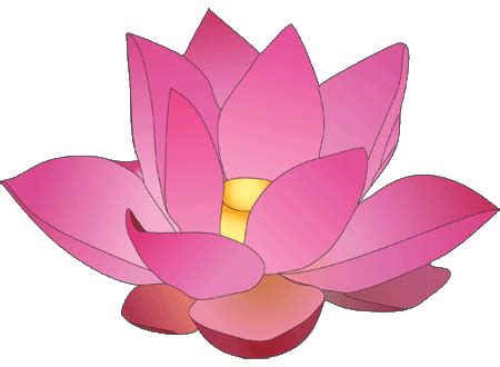 Animated Lotus