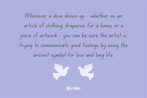 What Do Mourning Doves Symbolize? 9 Interpretations Explained | Cake Blog