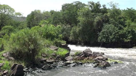 Nimule National Park - Alchetron, The Free Social Encyclopedia