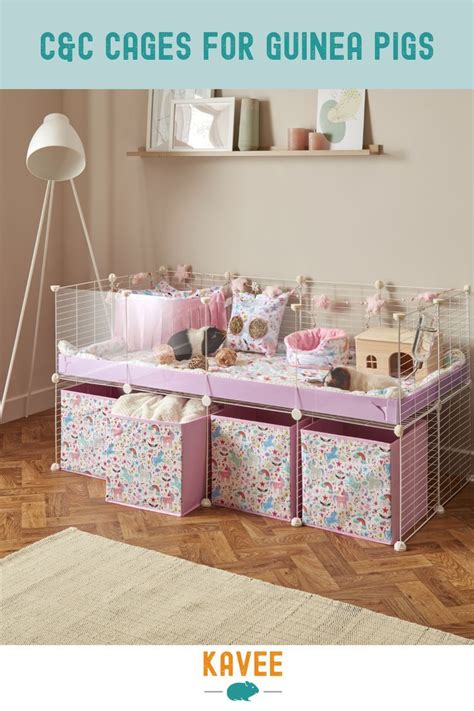 Best guinea pig cages – Artofit