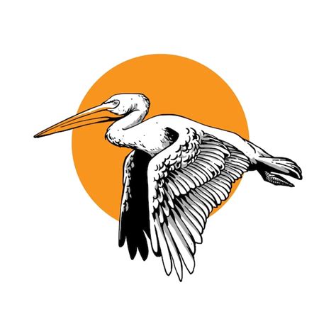 Premium Vector | Flying pelican bird with hand draw style