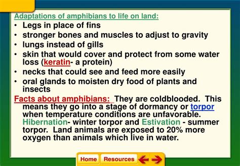 PPT - Amphibians PowerPoint Presentation, free download - ID:5517751