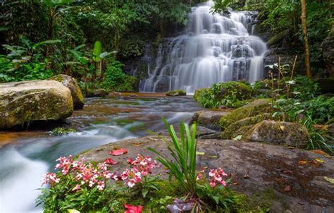 Waterfall Flowers Wallpapers - Wallpaper Cave