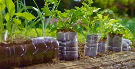 How to Make a Plastic Bottle Garden for Sustainable Gardening