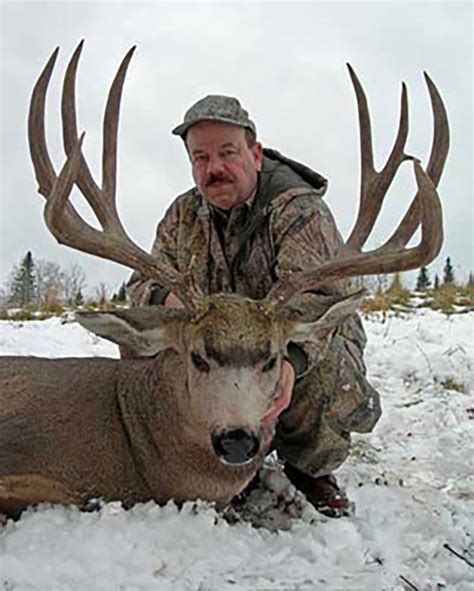 Trophy Mule Deer Hunt - Alberta Hunt