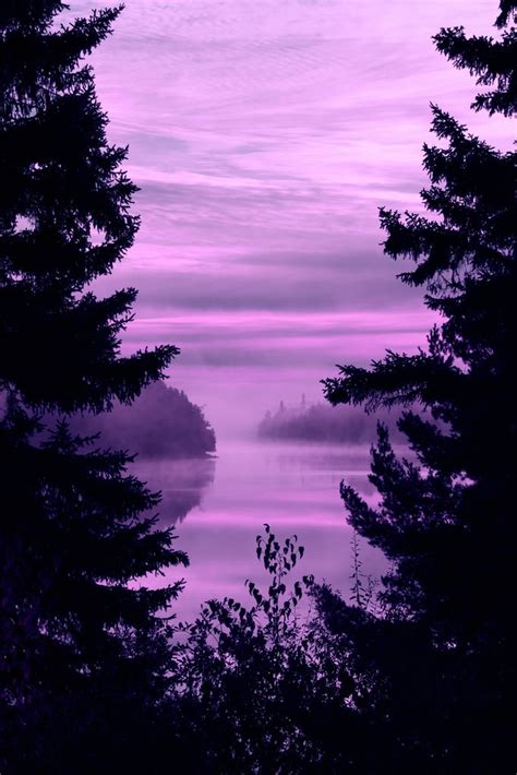 purple in 2020 | Purple wallpaper, Purple aesthetic, Purple love