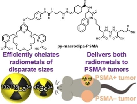 Chemistry and Applications of the f-Block Elements: European Journal of ...