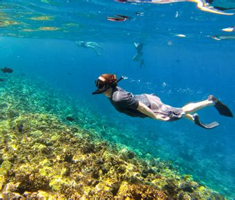 Top 10 Maui Snorkeling Spots | The Best Snorkeling on Maui