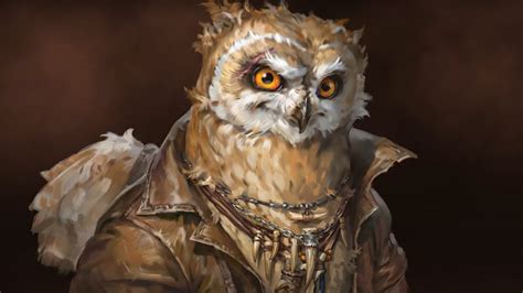 Owlin In DND 5e: Comprehensive Guide Alex Maven, 45% OFF