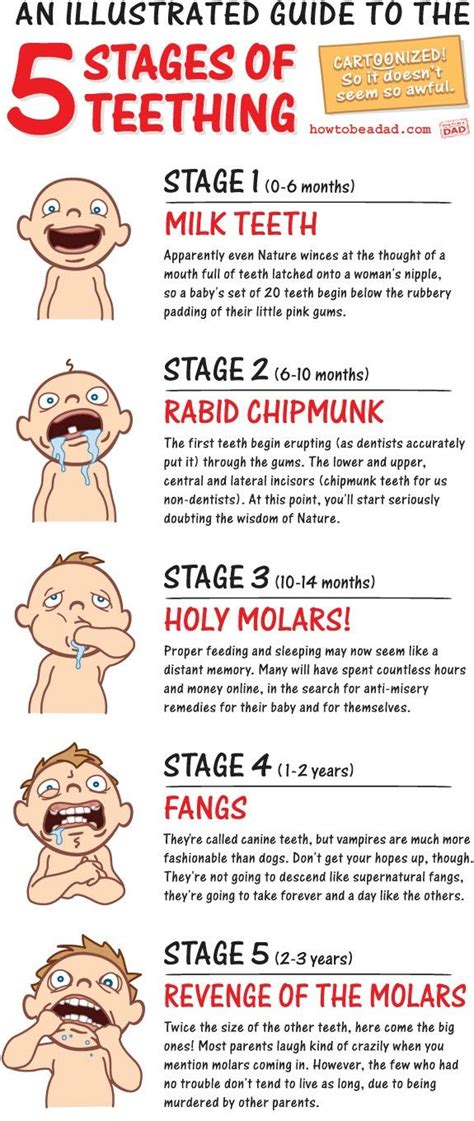 when do babies start teething 2 months - Corinne Barger