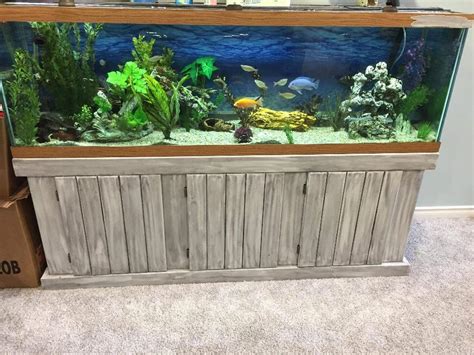 beautiful 125 gallon fish tank / aquarium North Regina, Regina