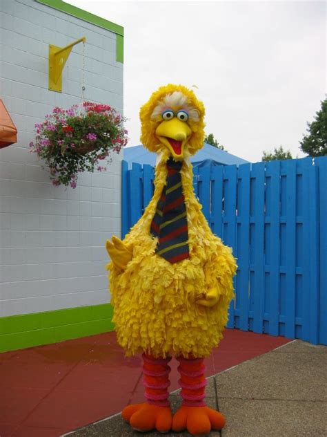 Big Bird Costumes | HubPages