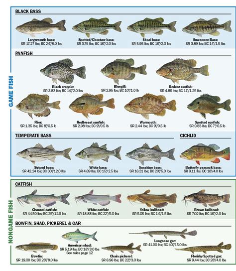 Tropical Freshwater Fish Species Guide