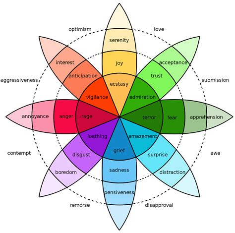 Human Taxonomy Chart