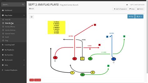 Flag Football Playbook