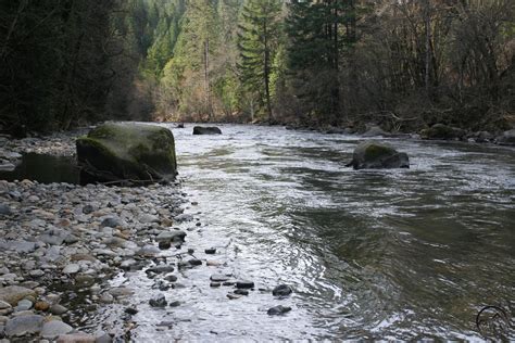 Sacramento River Trail | Hike Mt. Shasta