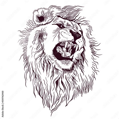 Roaring Lion Pencil Drawing