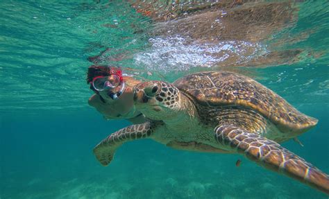 St Thomas Snorkel with Turtles & Sail Adventure