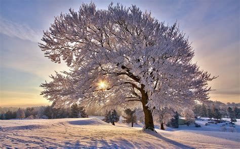 beautiful winter morning-Winter landscape desktop Wallpapers Preview ...