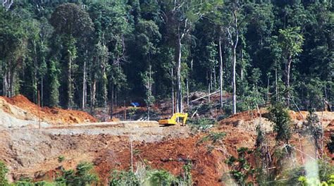 Sulawesi: Mining threatens nature reserve - Rainforest Rescue