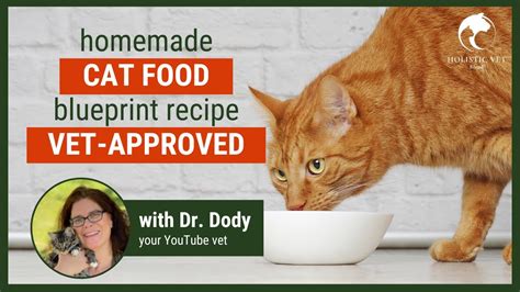 Homemade Cat Food Recipes Vet Approved | Basic Blueprint - Bombofoods