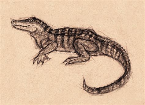 Alligator sketch | Alligators art, Alligator tattoo, Animal tattoos