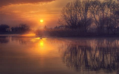 sunrise, Reflection, Calm, Lake, Nature, Landscape, Water, Swans, Mist ...