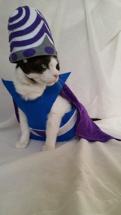 tumb1rprincess | Cat cosplay, Cats, Cat costumes