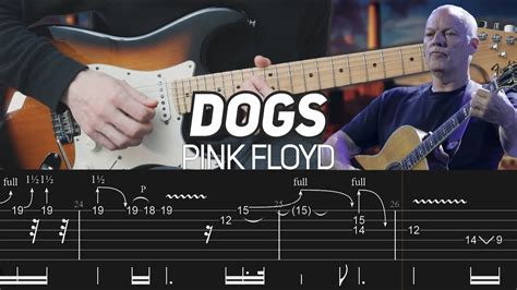 Pink Floyd - Dogs intro chords & main solo (Guitar Lesson with TAB) - YouTube