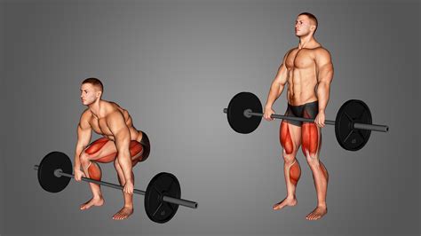 Barbell Deadlift: 4 Major Benefits & Muscles Used Explained - Inspire US