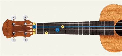 Afinador de Ukulele Online Gratuito, Afinadores Standard e Especiais - UkuTabs