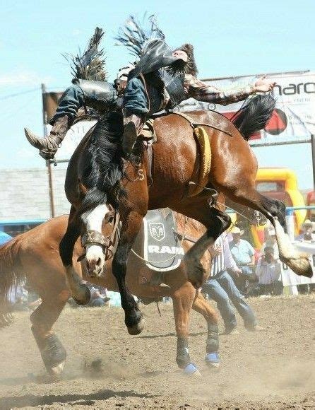 310 Bronc riding ideas | bronc riding, bronc, rodeo cowboys