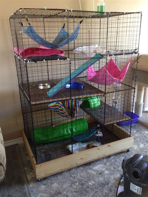 Ferret cage | Ferret cage, Rat cage, Ferret cage diy