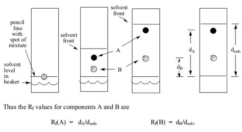 Chromatography in the Determination of Amino Acids - 837 Words | Report Example