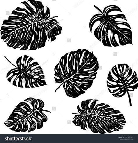 Palm Leaves Set Black White Stock Vector (Royalty Free) 1511251343 ...