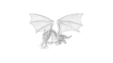 How To Draw A Flying Dragon - My How To Draw