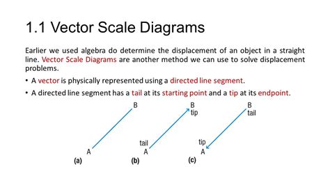 Vector Scale Diagram at Vectorified.com | Collection of Vector Scale Diagram free for personal use