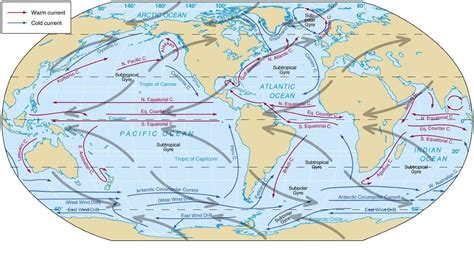 Ocean currents: Forces Responsible For Ocean Currents | Desert ...